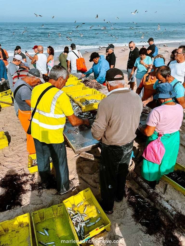Sorting the fish at the beach