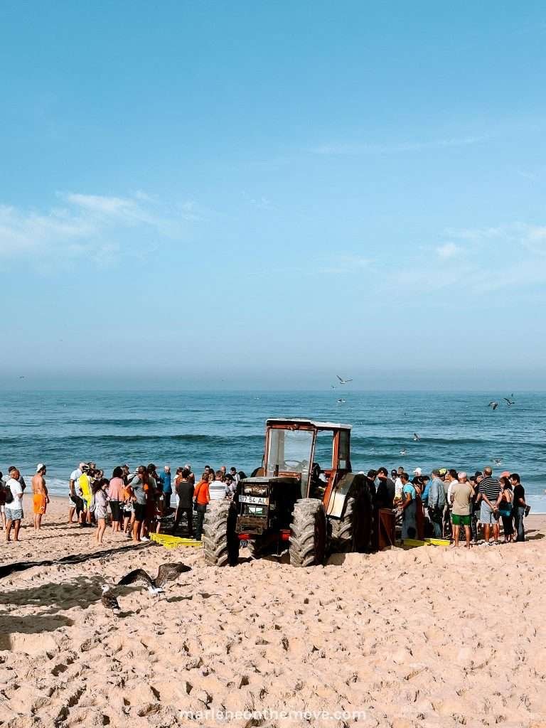 Waiting for the net of the arte xávega boat to arrive at the beach