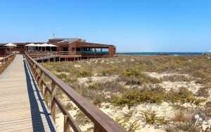 Estaminé restaurant in Ilha da Deserta, Faro, Algarve