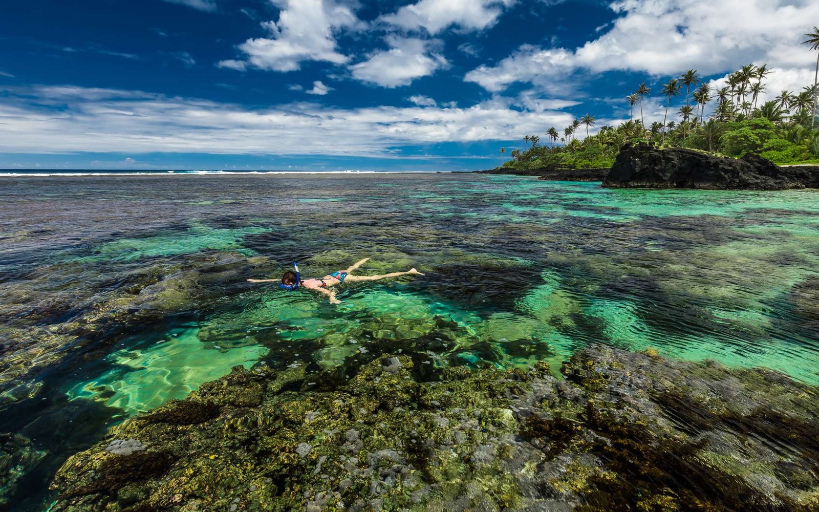 Young woman snorkeling in Fiji over coral reef on a tropical set with palm trees