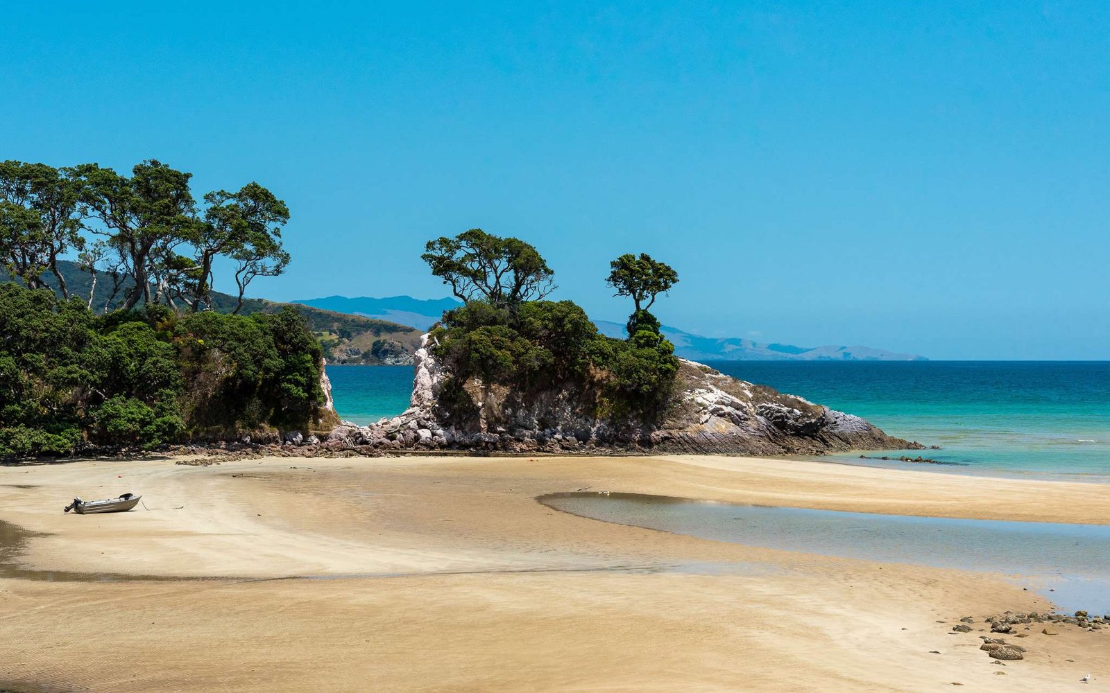 Tropical beach at Great Barrier Island, New Zealand