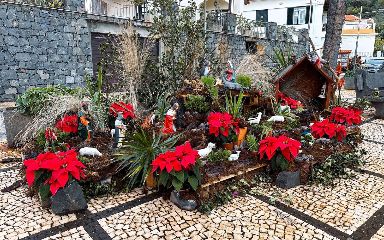 Typical Navidad scene in a town's square in Madeira Island during Christmas
