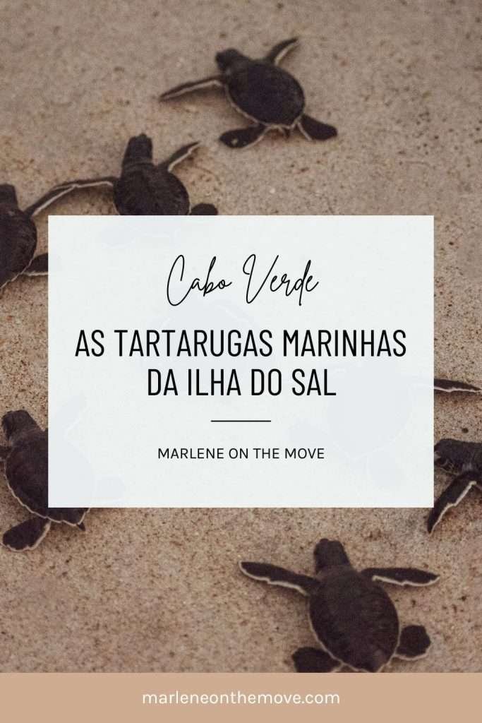 Descubra o ciclo de vida das tartarugas marinhas na Ilha do Sal e viva uma experiência única com o Projeto Biodiversidade. Natureza, aventura e conservação, são as palavras de ordem!