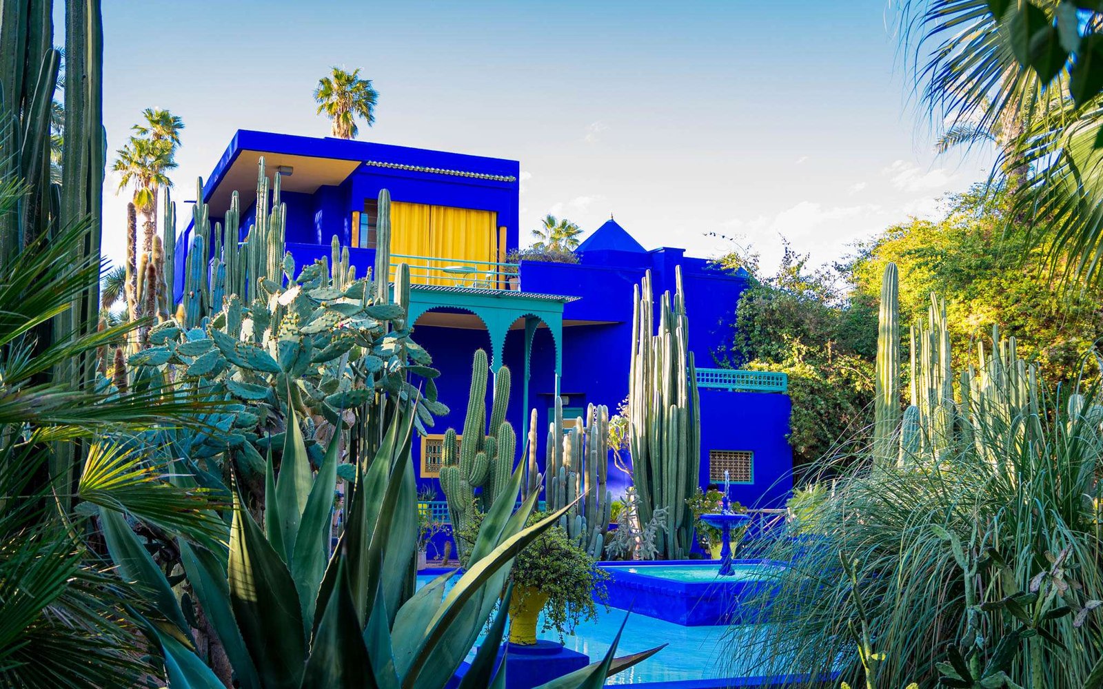 Edifício azul vivo e jardim de plantas exóticas e captus. Jardim Majorelle. Conceito de viagem e arquitetura. Marraquexe, Marrocos