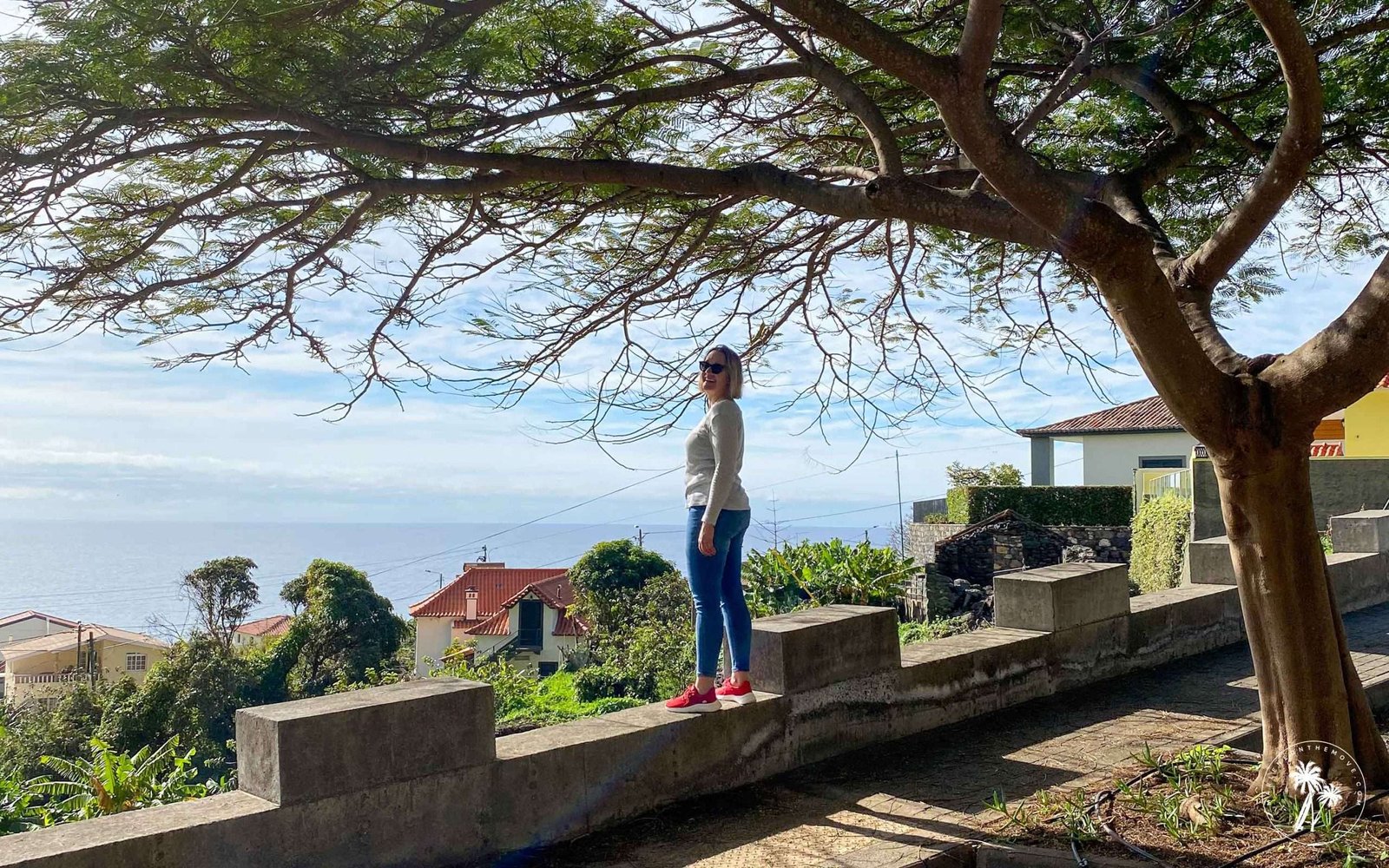 Jardim do Mar viewpoint