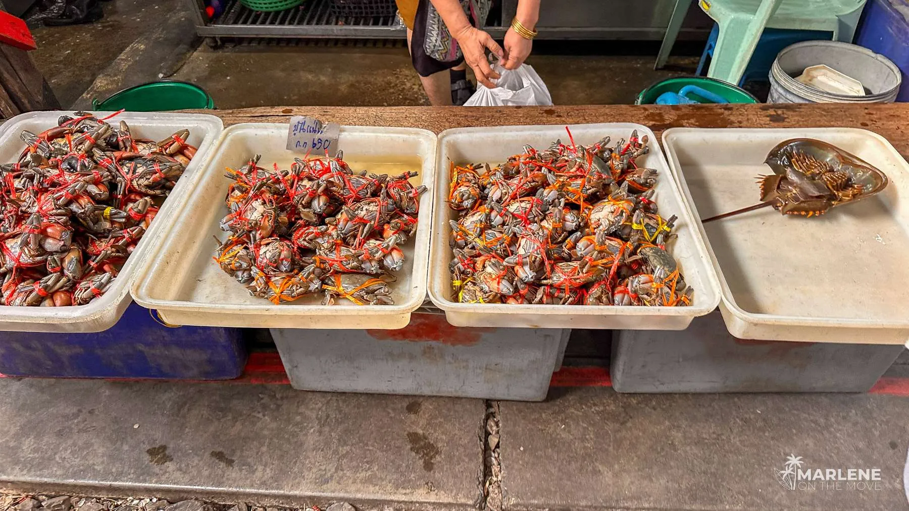 Seafood stall at Maeklong Railway Market