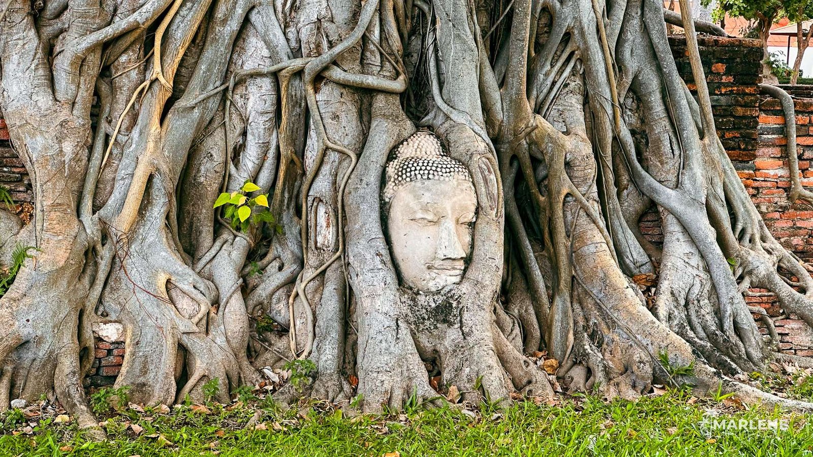 Leva-me group tour to Thailand