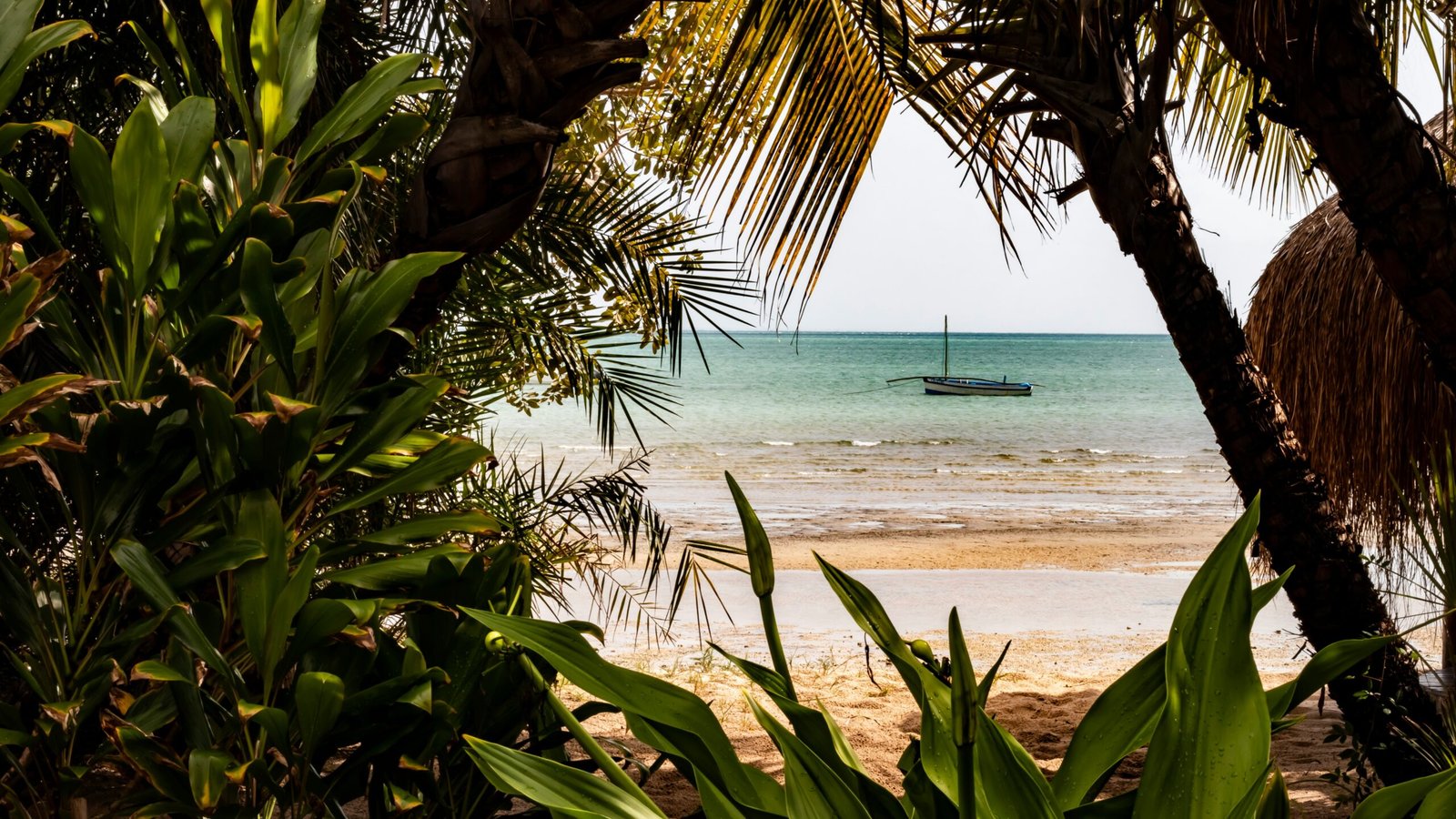 The beautiful coast of Mozambique is one of the many things that the country has to offer. And you can now request the Mozambique e-visa online.