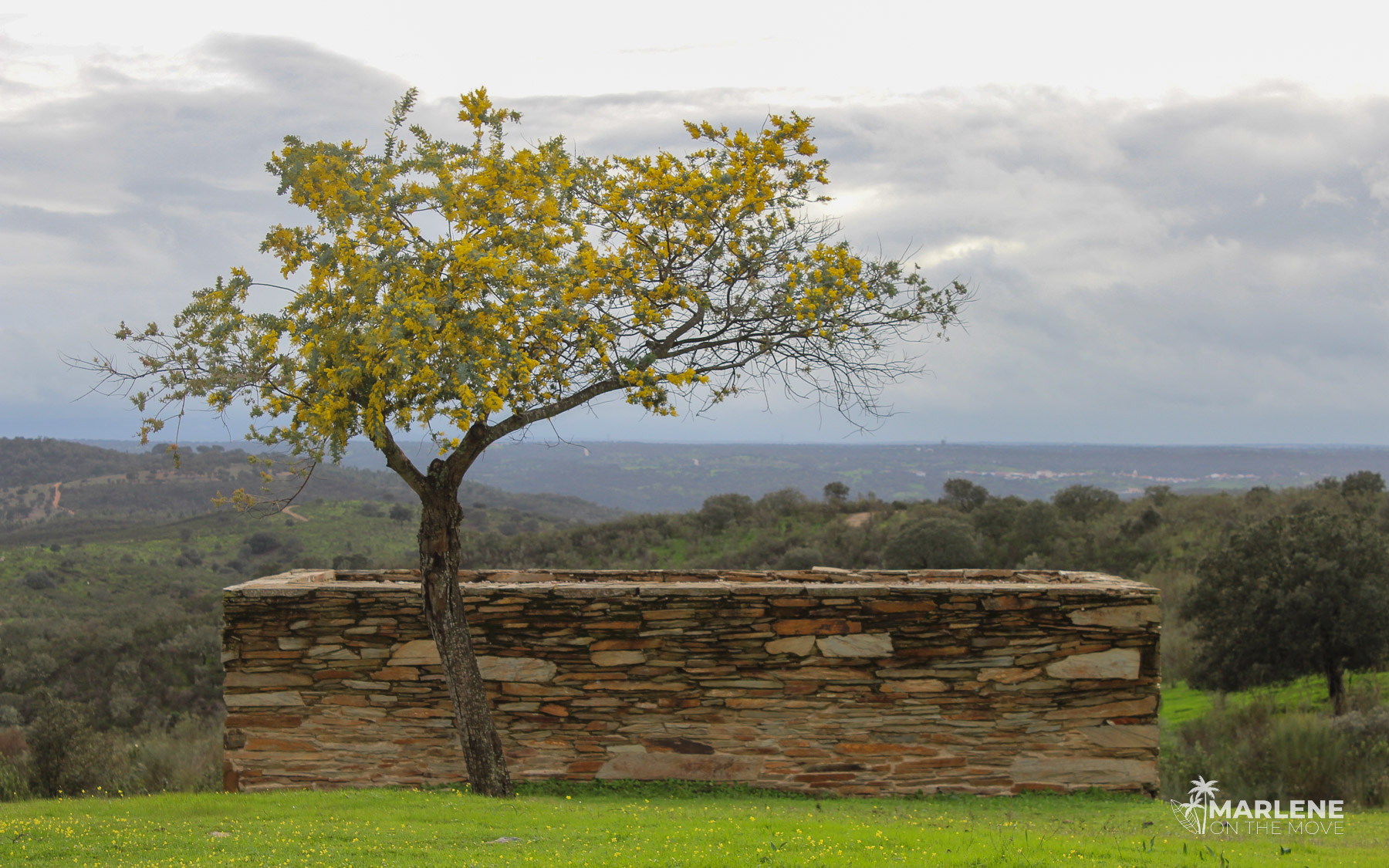 Tejo Internacional Natural Park: the complete visitor’s guide