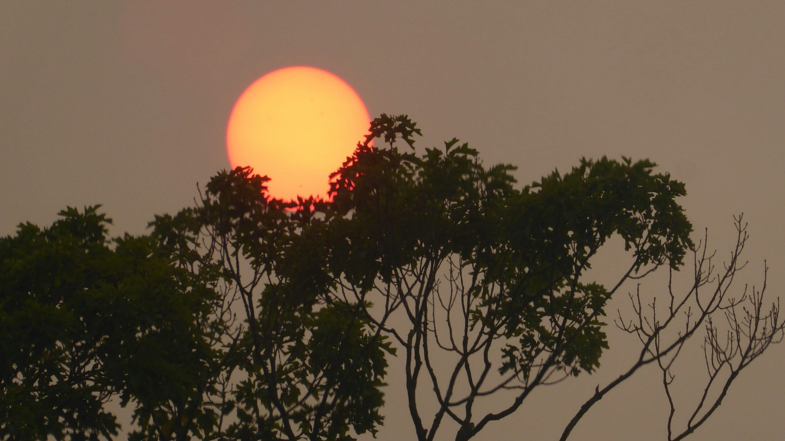 Melhores sítios para ver o eclipse