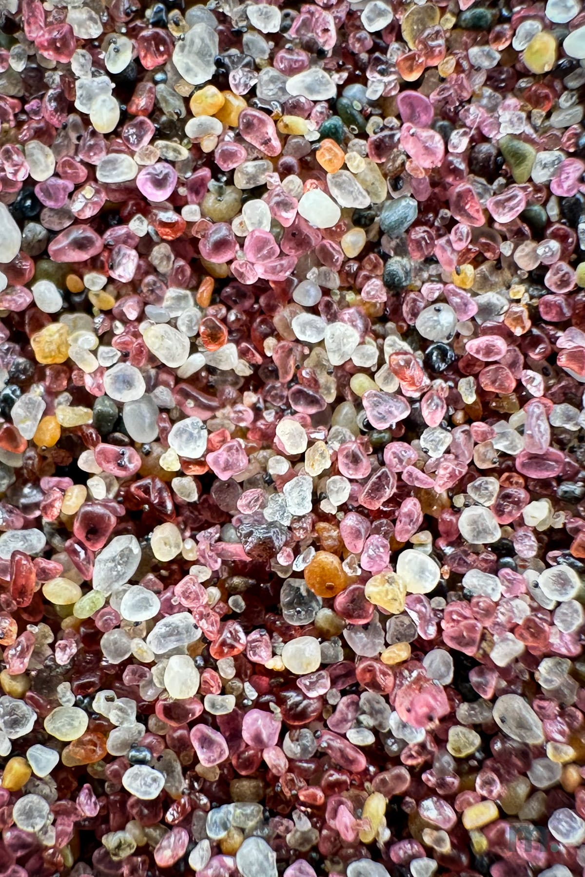 Close-up of Sandwich Harbour sand grains: pink garnet, white quartz and translucent stones