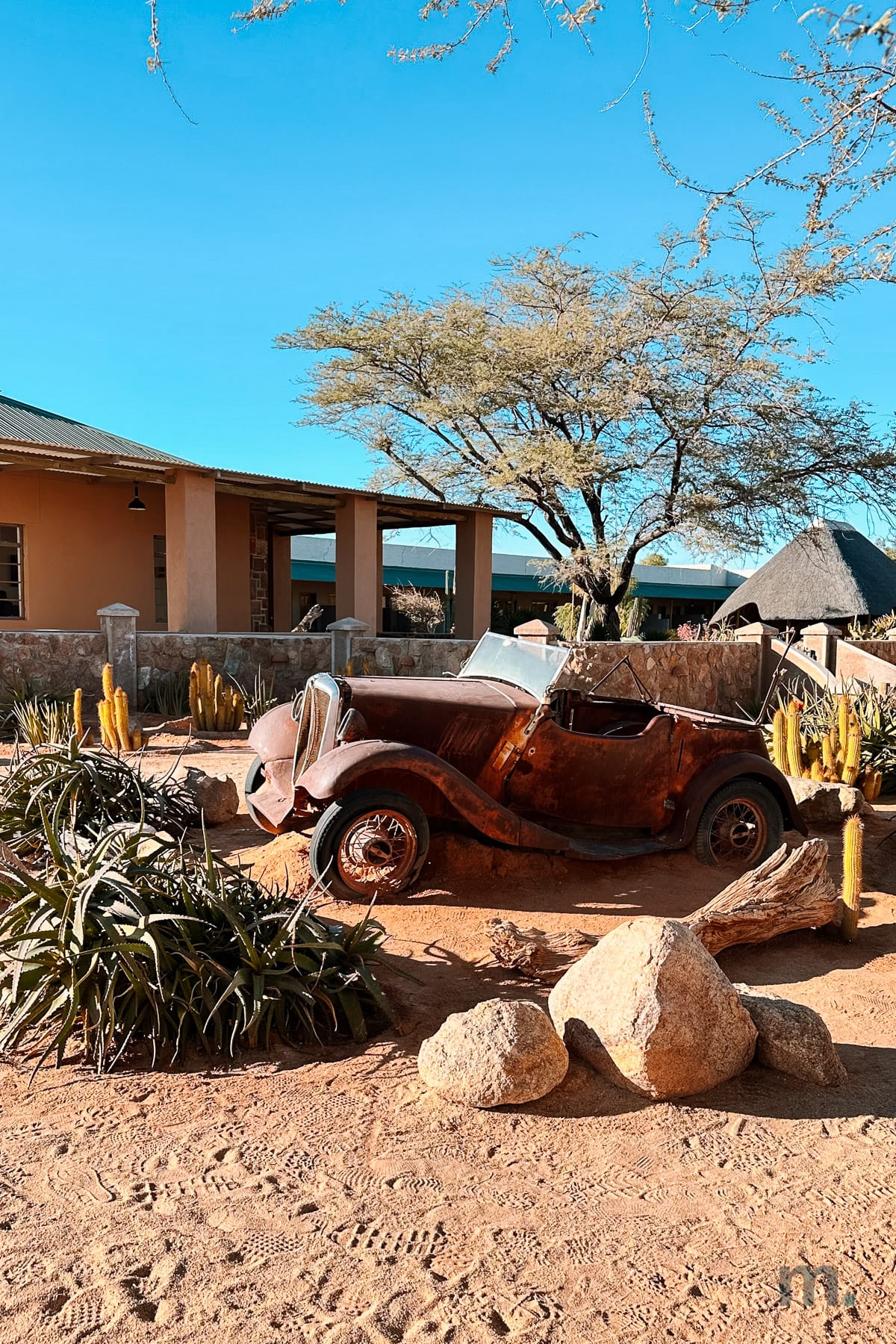 Rusted vintage car at a lodge entrance among cactus and acacia trees