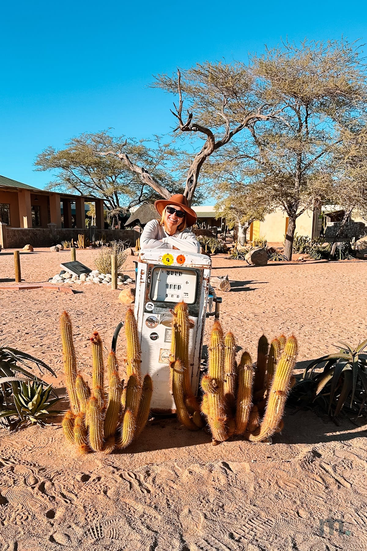Marlene sitting on the old gas pump at Solitaire, surrounded by cactus