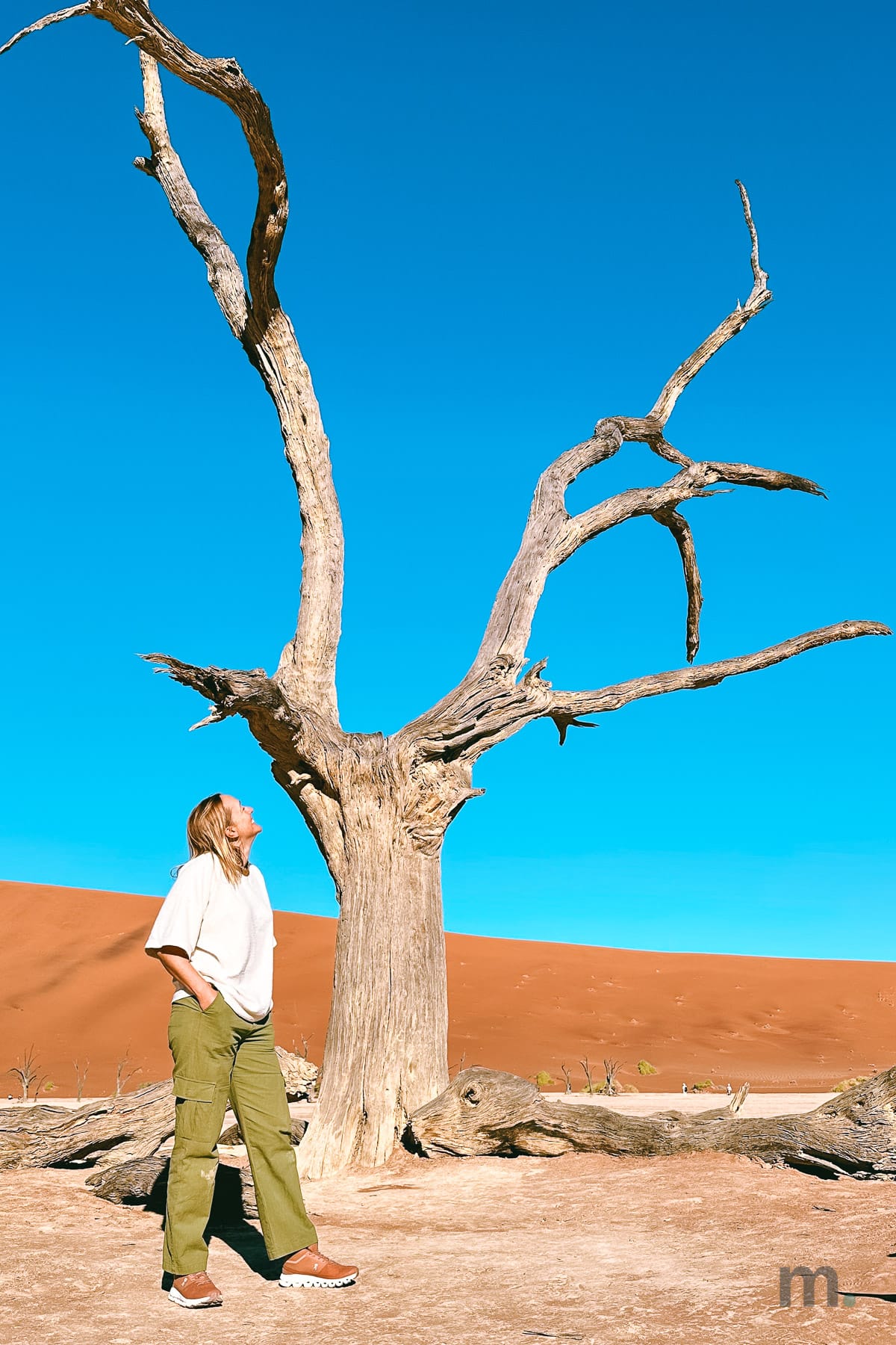 Marlene walking past a dead tree at Deadvlei with the dune behind