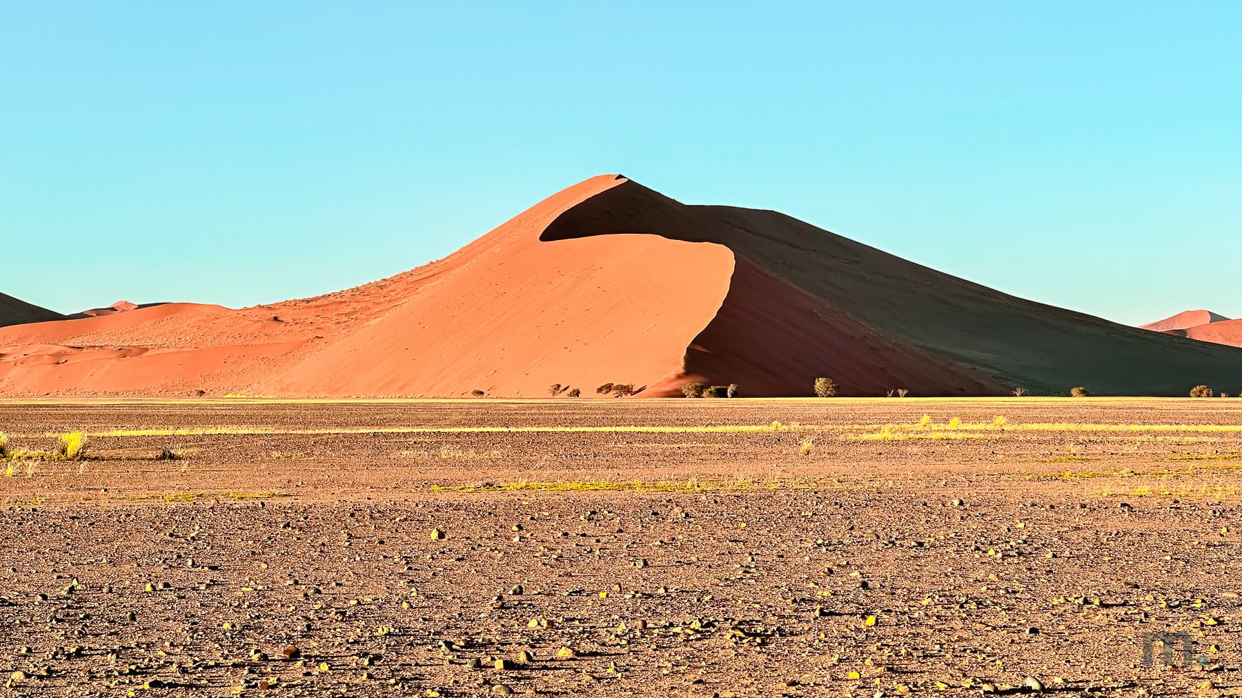 Red Namib desert dune at sunrise seen from the gravel plain