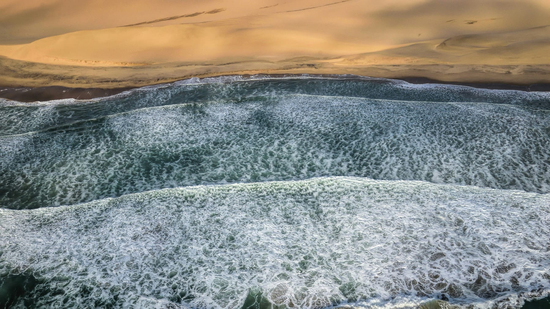 Skeleton coast wave