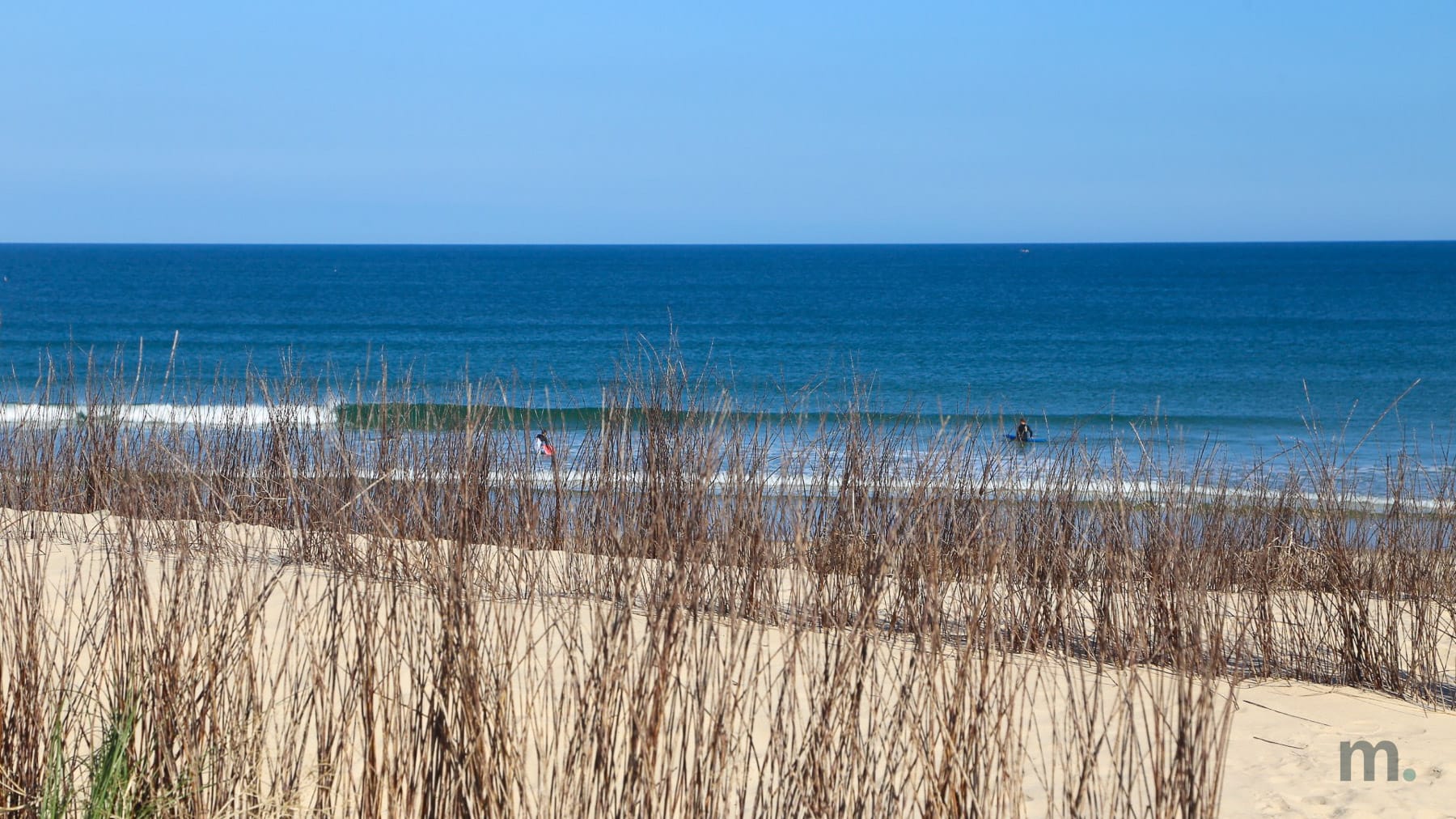 Dunes and surfers at the Bay in Peniche