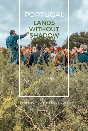 Knowing one of Alentejo's best bread, listening to music in a church and feeling nature up close in the banks of the Guadiana River was the challenge launched by the Lands Without Shadow festival. An experience full of traditions and stories told by the people of Vidigueira.
