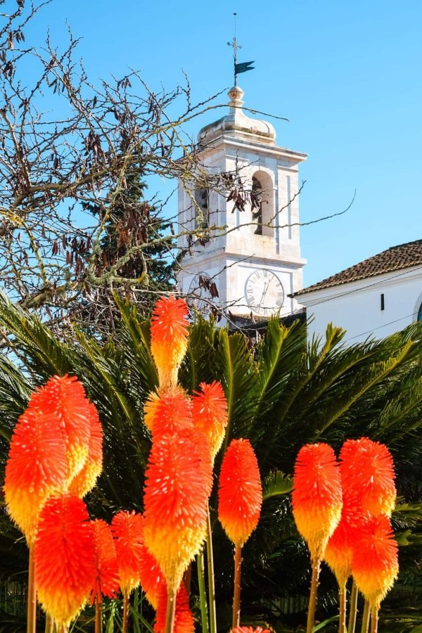 Jardim do Paço Ducal
